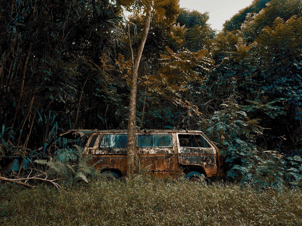 Фотография: Брошенные тачки в гавайских джунглях: фотопроект Томаса Строгальски №4 - BigPicture.ru