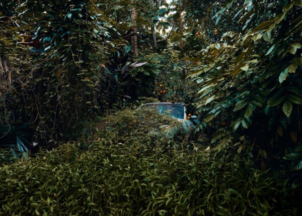 Брошенные тачки в гавайских джунглях, фотопроект Томаса Строгальски