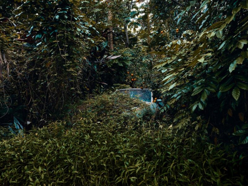 Фотография: Брошенные тачки в гавайских джунглях: фотопроект Томаса Строгальски №1 - BigPicture.ru