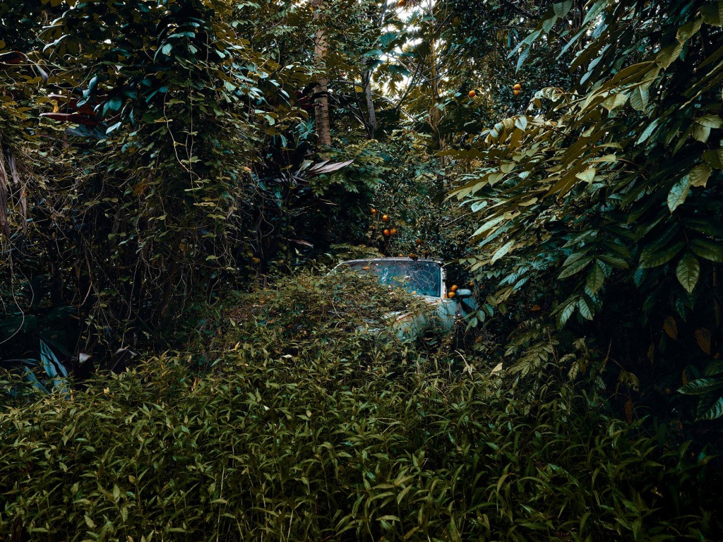Фотография: Брошенные тачки в гавайских джунглях: фотопроект Томаса Строгальски №5 - BigPicture.ru
