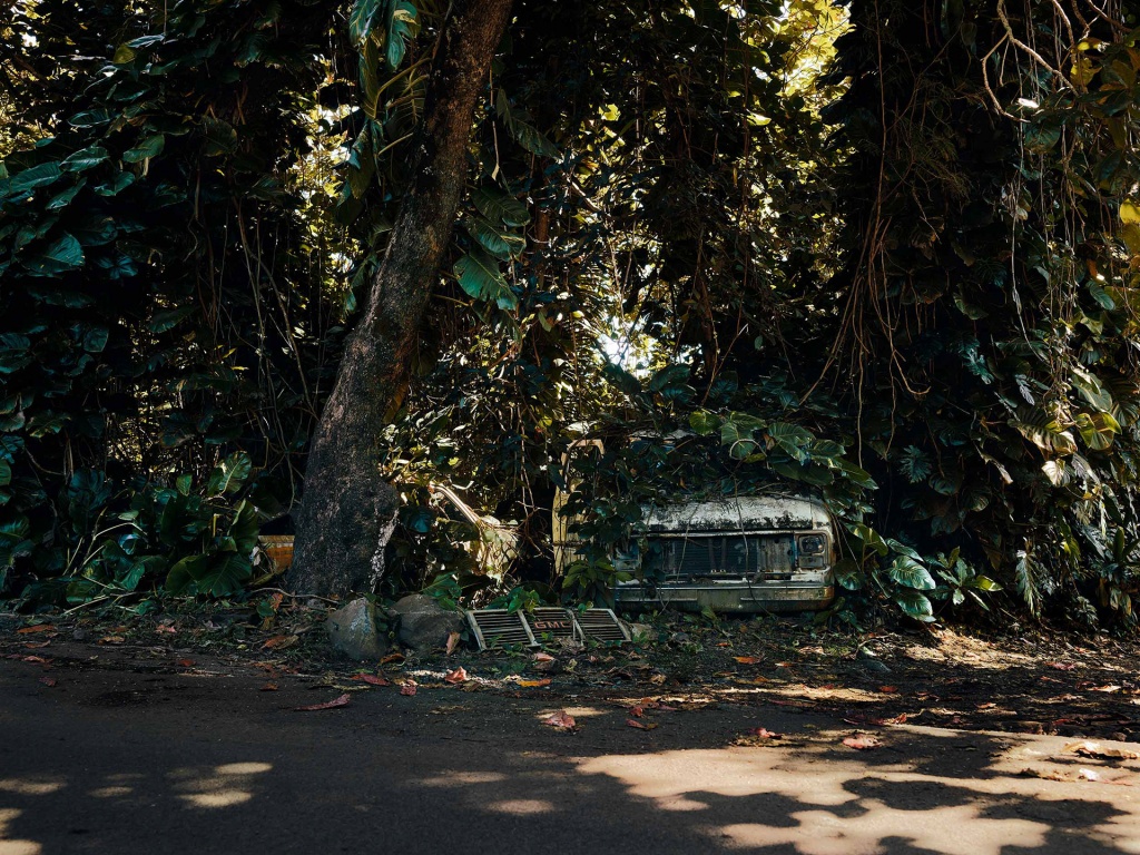 Фотография: Брошенные тачки в гавайских джунглях: фотопроект Томаса Строгальски №7 - BigPicture.ru