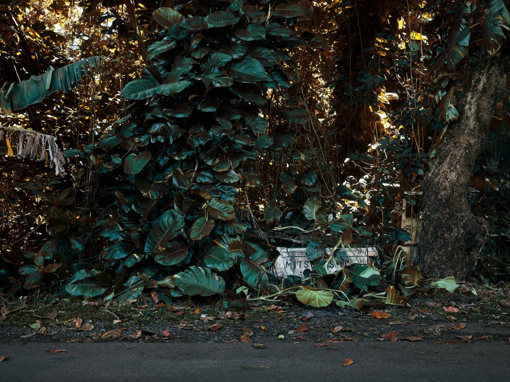 Фотография: Брошенные тачки в гавайских джунглях: фотопроект Томаса Строгальски №9 - BigPicture.ru