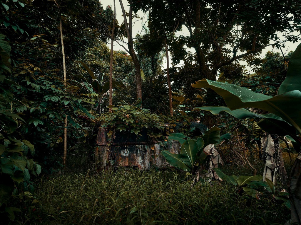 Фотография: Брошенные тачки в гавайских джунглях: фотопроект Томаса Строгальски №10 - BigPicture.ru