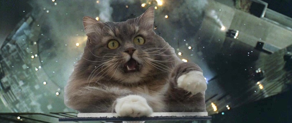 Фотография: Это эпично! Кот в окне стал героем битвы фотошоперов №17 - BigPicture.ru