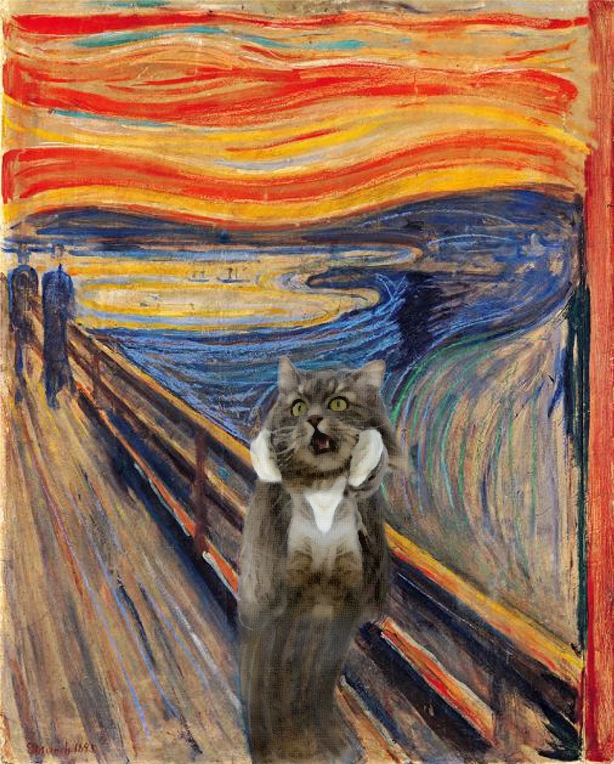 Фотография: Это эпично! Кот в окне стал героем битвы фотошоперов №19 - BigPicture.ru