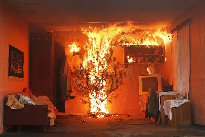 Фотография: Елочка, гори! Новогодняя красавица может превратить комнату в груду пепла за 23 секунды №5 - BigPicture.ru