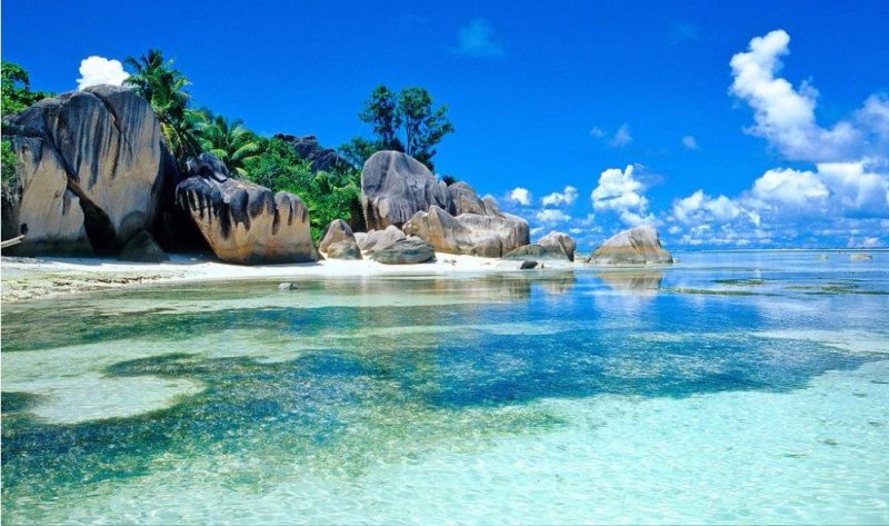 Фотография: Сейшельские каникулы длиною в жизнь: Брендон Гримшоу и его частный рай на Земле №6 - BigPicture.ru