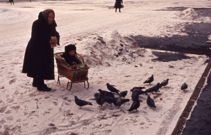 Фотография: Зимние катания на санках в СССР №41 - BigPicture.ru