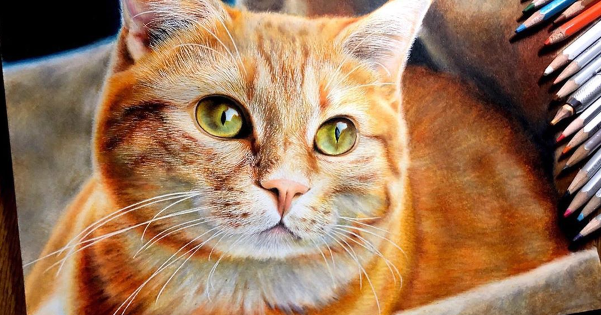 Фотография: 23 рисунка кошек в жанре гиперреализма №1 - BigPicture.ru