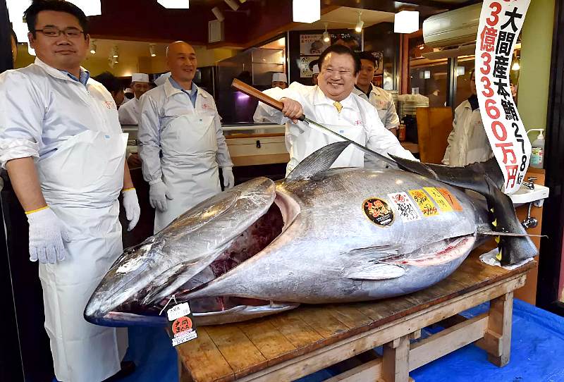 Фотография: Редкий голубой тунец ушел с торгов за 3,1 миллиона долларов №2 - BigPicture.ru