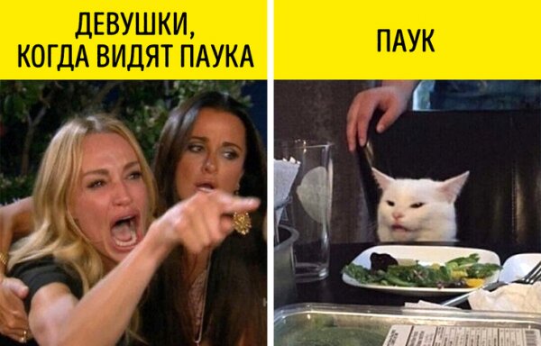 Фотография: Главные мемы 2019 года, над которыми мы продолжим ржать в 2020 №6 - BigPicture.ru
