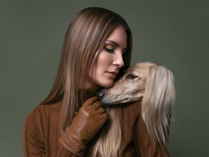 Фотография: 17 удивительных портретов собак от Александра Хохлова №10 - BigPicture.ru