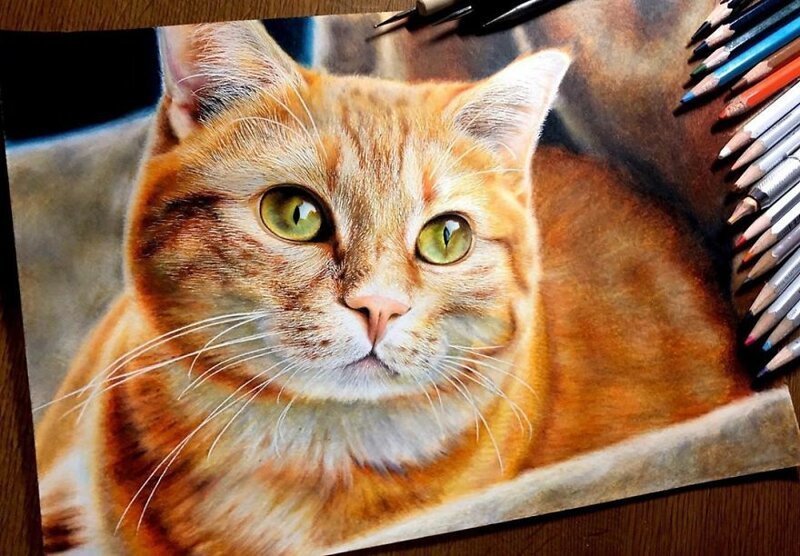 Фотография: 23 рисунка кошек в жанре гиперреализма №4 - BigPicture.ru