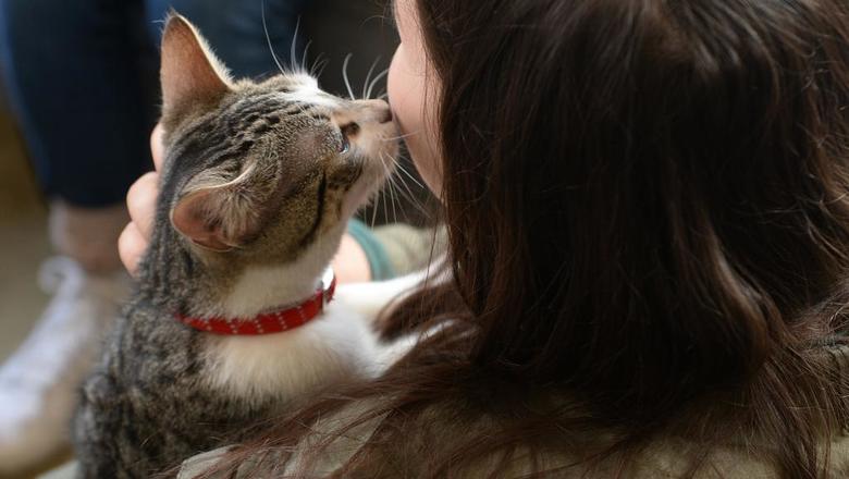 Фотография: Почему кошки лучше относятся к женщинам, чем к мужчинам №4 - BigPicture.ru
