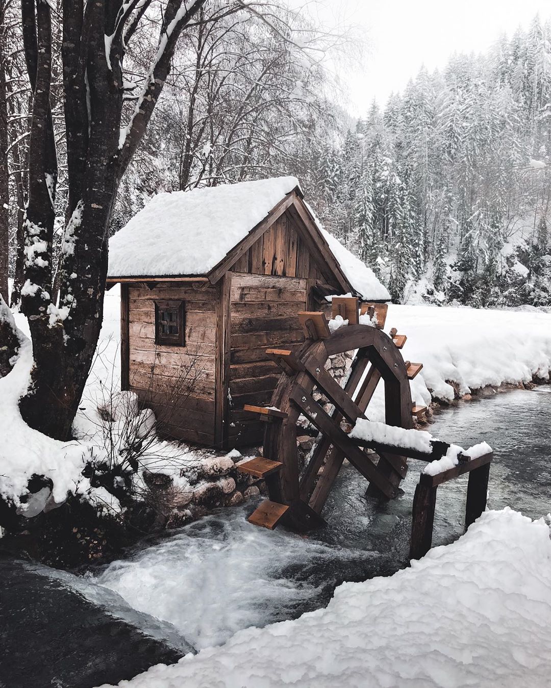 Фотография: Волшебство зимы в снежных снимках Эрика Рейнхарта №21 - BigPicture.ru