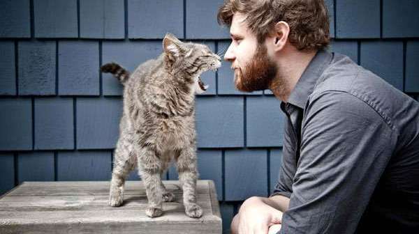 Фотография: Почему кошки лучше относятся к женщинам, чем к мужчинам №3 - BigPicture.ru