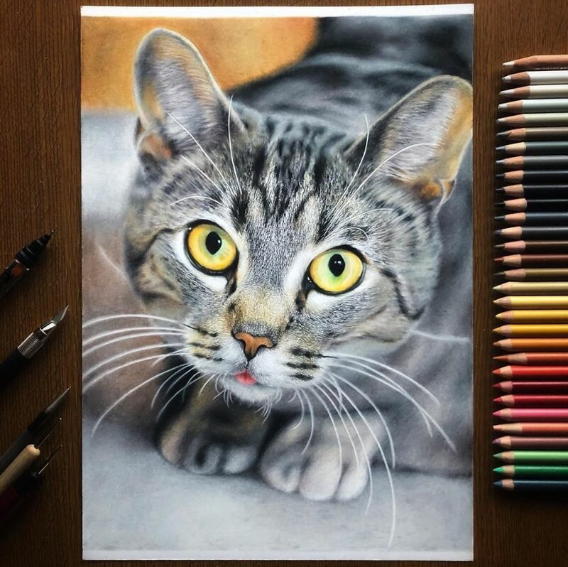 Фотография: 23 рисунка кошек в жанре гиперреализма №10 - BigPicture.ru