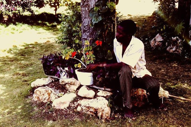 Фотография: 31 цветная фотография, документирующая жизнь Гаити в 1970-е №30 - BigPicture.ru