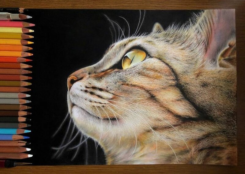 Фотография: 23 рисунка кошек в жанре гиперреализма №12 - BigPicture.ru