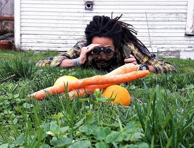 Фотография: Идет охота на морковь, или Огородники со своими славными трофеями №8 - BigPicture.ru