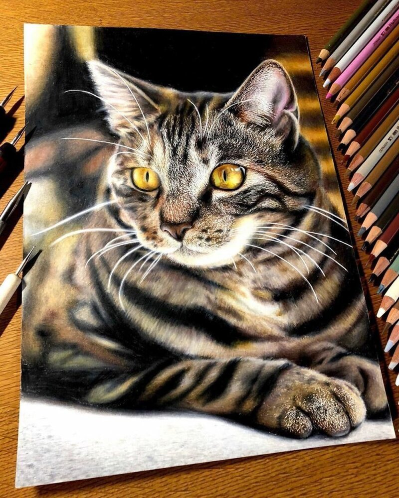 Фотография: 23 рисунка кошек в жанре гиперреализма №19 - BigPicture.ru