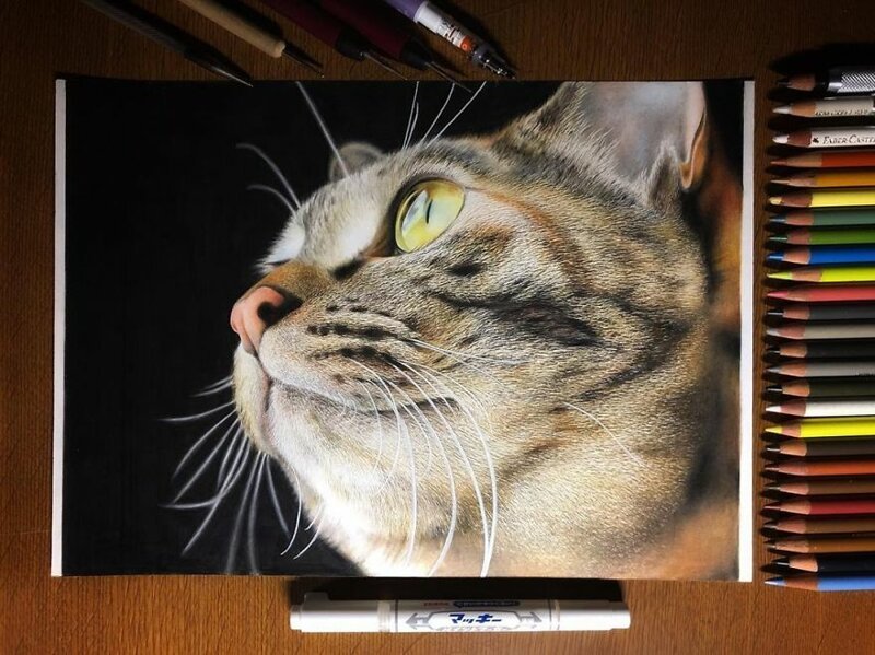 Фотография: 23 рисунка кошек в жанре гиперреализма №11 - BigPicture.ru