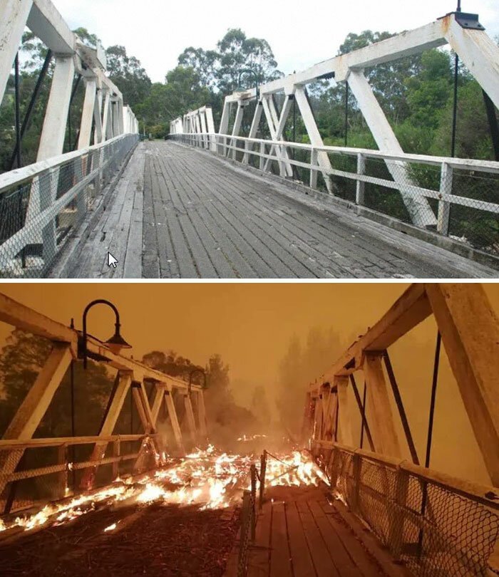 Фотография: 21 фотография, демонстрирующая последствия ужасающих лесных пожаров в Австралии №8 - BigPicture.ru