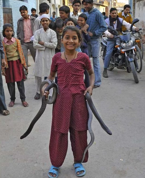 Фотография: Девочка-кобра из Индии отлично ладит с опасными змеями №5 - BigPicture.ru