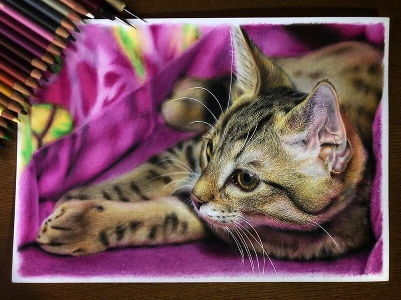 Фотография: 23 рисунка кошек в жанре гиперреализма №15 - BigPicture.ru