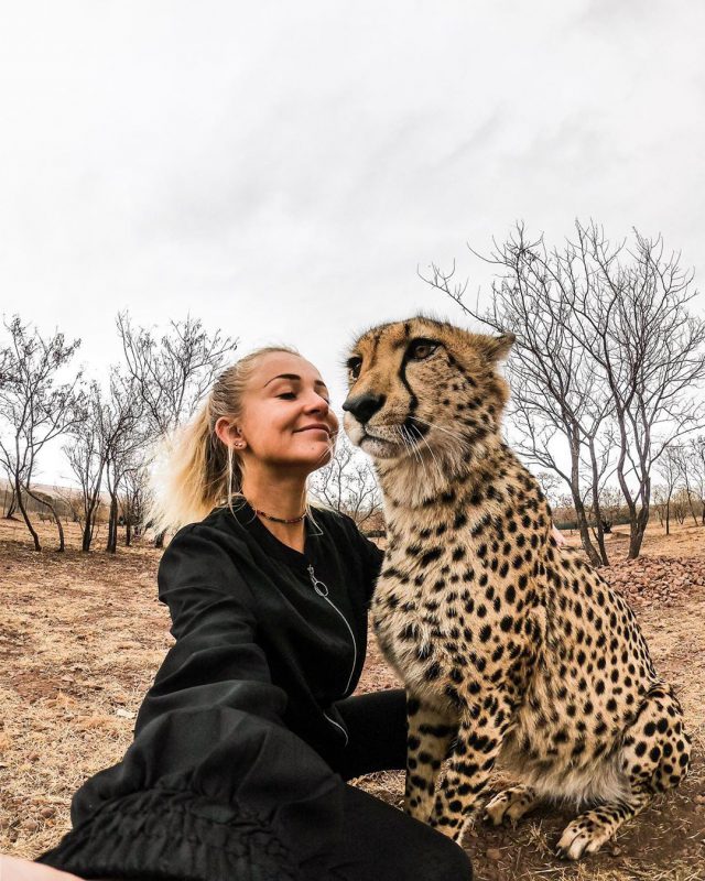 Фотография: В объятьях гепардов: эта девушка живет в дикой природе и считает хищников друзьями №7 - BigPicture.ru