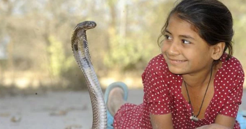 Фотография: Девочка-кобра из Индии отлично ладит с опасными змеями №1 - BigPicture.ru
