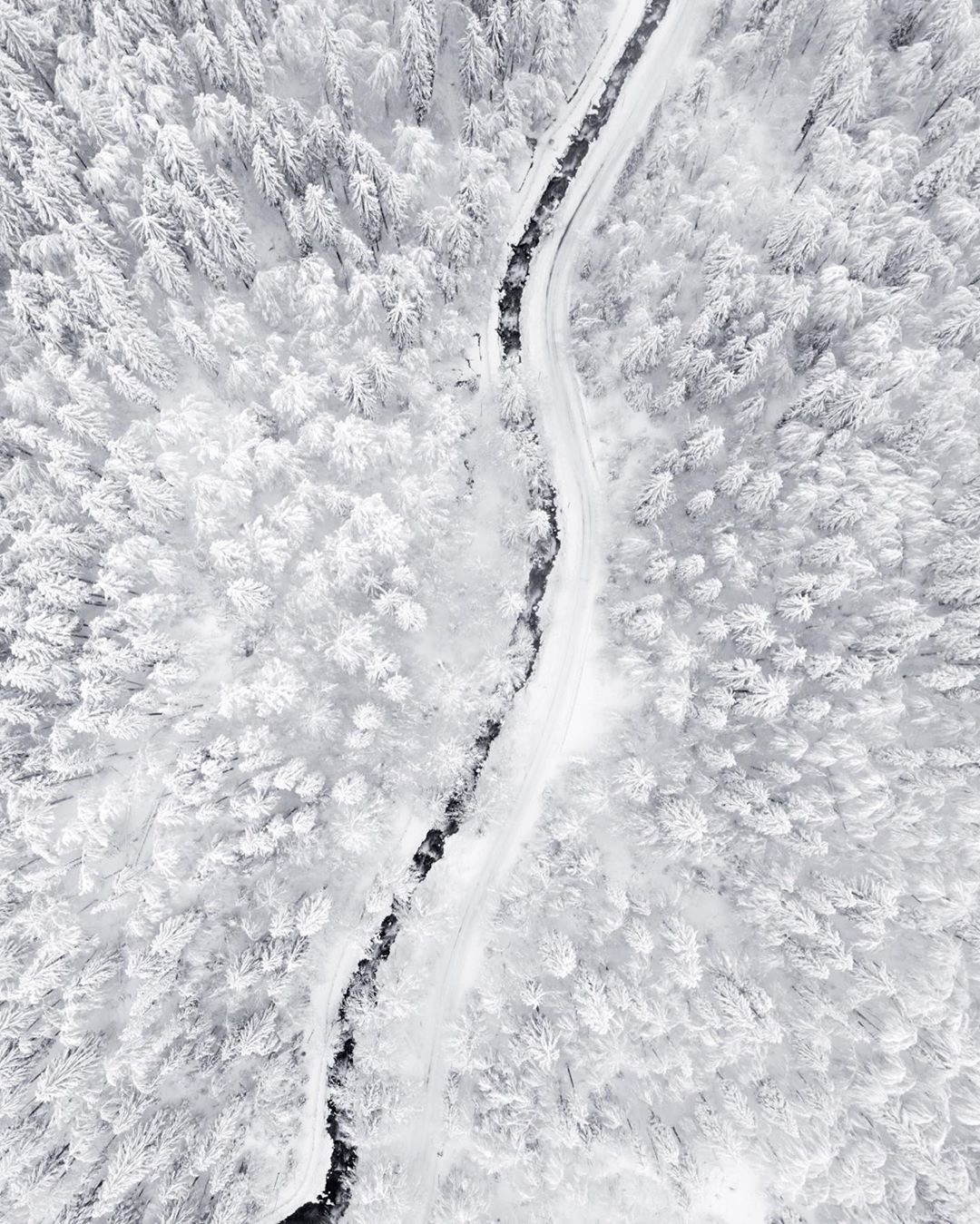 Волшебство зимы в снежных снимках Эрика Рейнхарта