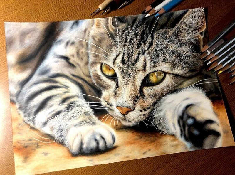 Фотография: 23 рисунка кошек в жанре гиперреализма №13 - BigPicture.ru