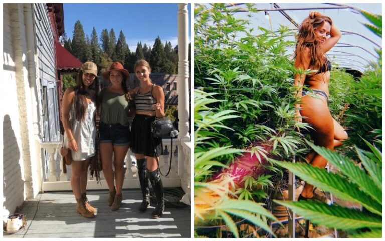 выращивать марихуану домашних