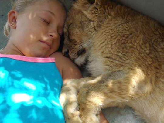 Фотография: В объятьях гепардов: эта девушка живет в дикой природе и считает хищников друзьями №2 - BigPicture.ru