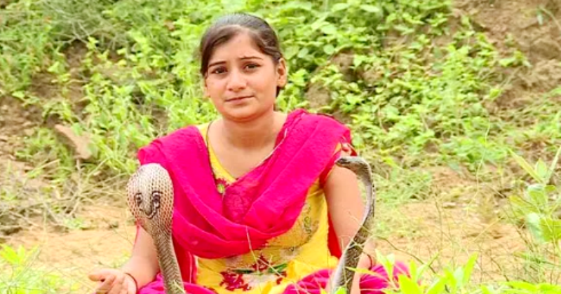 Фотография: Девочка-кобра из Индии отлично ладит с опасными змеями №2 - BigPicture.ru