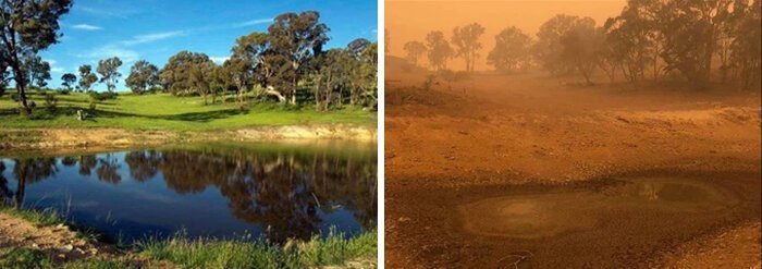 Фотография: 21 фотография, демонстрирующая последствия ужасающих лесных пожаров в Австралии №10 - BigPicture.ru