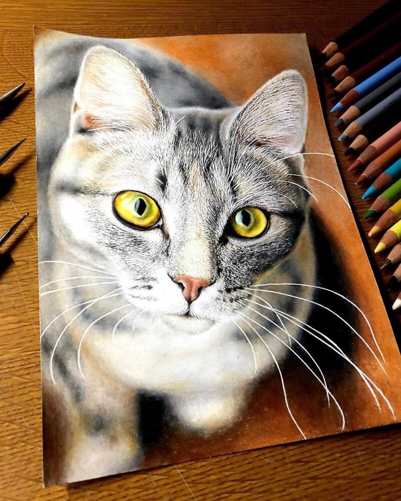 Фотография: 23 рисунка кошек в жанре гиперреализма №18 - BigPicture.ru
