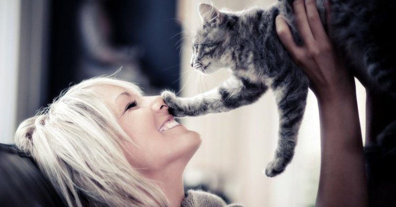 Фотография: Почему кошки лучше относятся к женщинам, чем к мужчинам №1 - BigPicture.ru