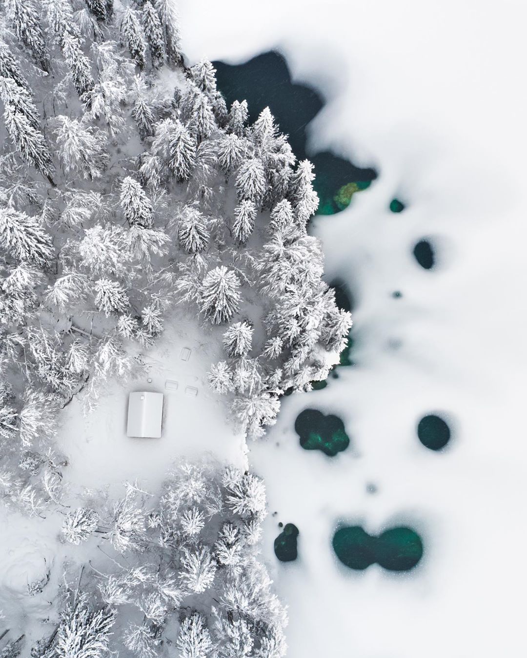 Фотография: Волшебство зимы в снежных снимках Эрика Рейнхарта №8 - BigPicture.ru