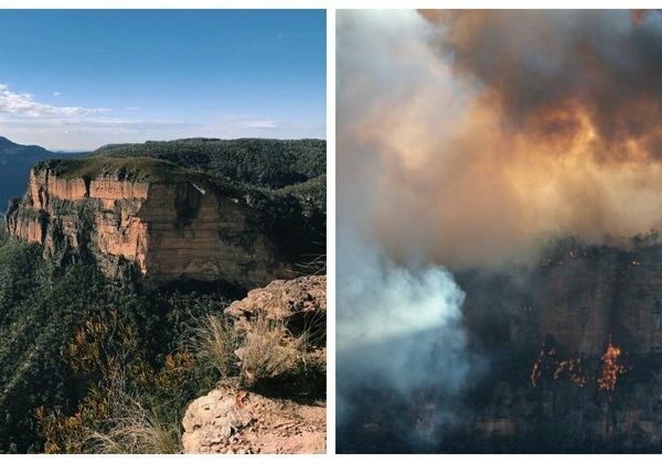 21 фотография, демонстрирующая последствия ужасающих лесных пожаров в Австралии
