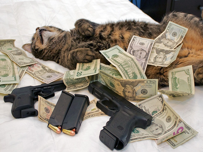 Фотография: Карты, деньги, два ствола: 20 фото гангстакотиков из инстаграма №6 - BigPicture.ru