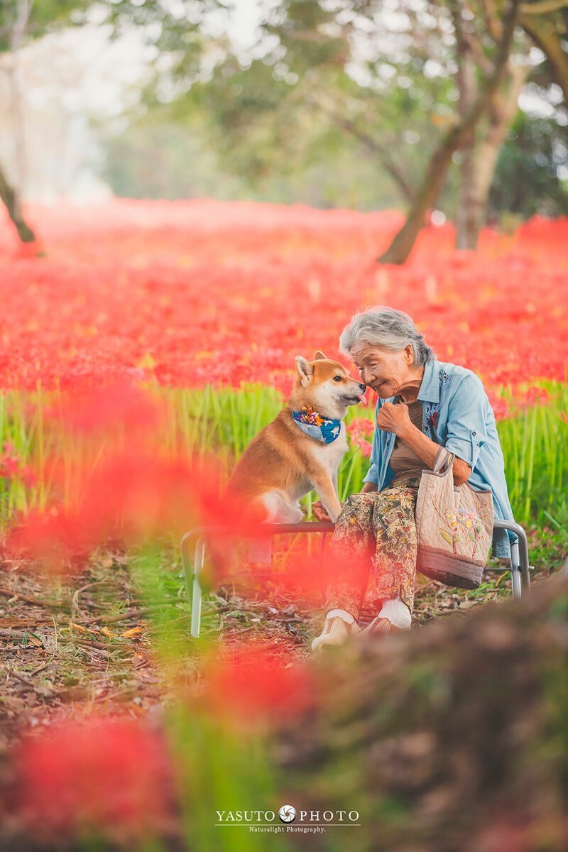 Фотограф из Японии делает трогательные снимки своей бабушки и собаки