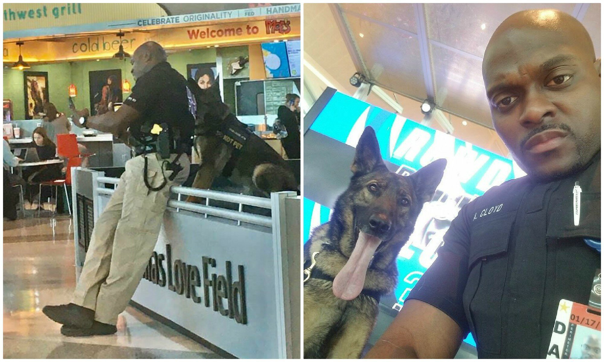 Фотография: Девушка заметила, как полицейский в аэропорту делает селфи со служебной собакой №1 - BigPicture.ru