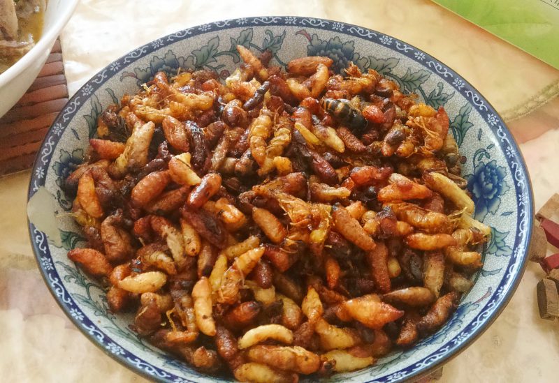Фотография: Жареные осы — деликатес японской кухни №4 - BigPicture.ru