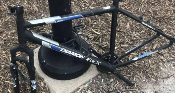 25 ярких примеров того, что значит «неудачный день»