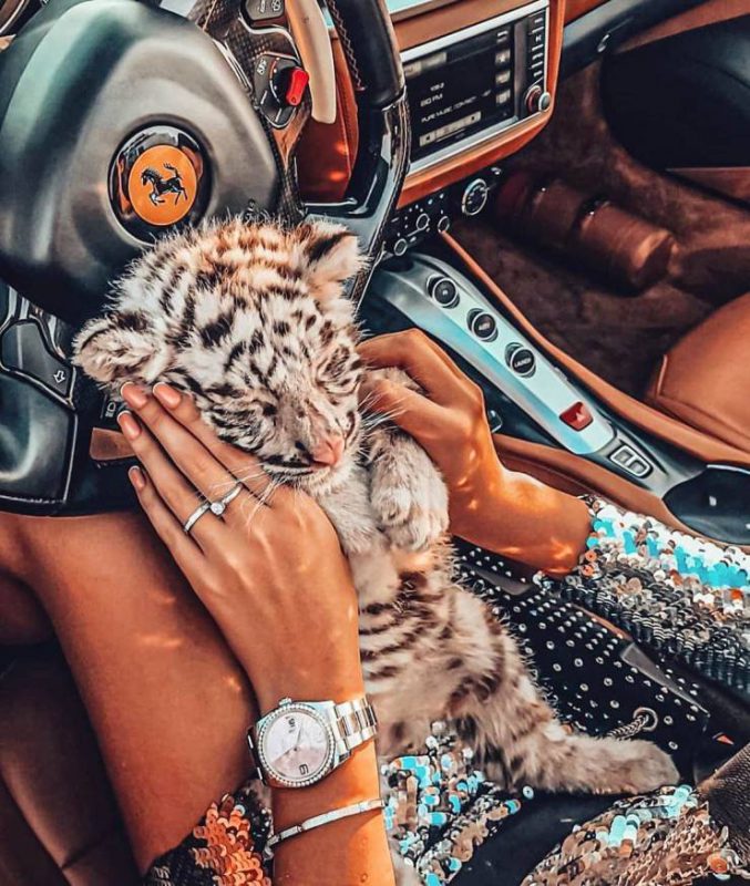 Фотография: 17 богатых детишек Instagram и их безумные выходки №2 - BigPicture.ru