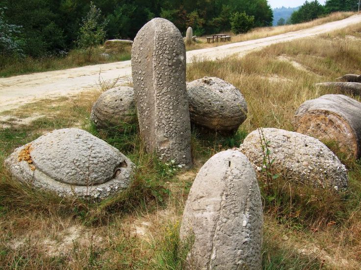 Трованты удивительные живые камни Румынии