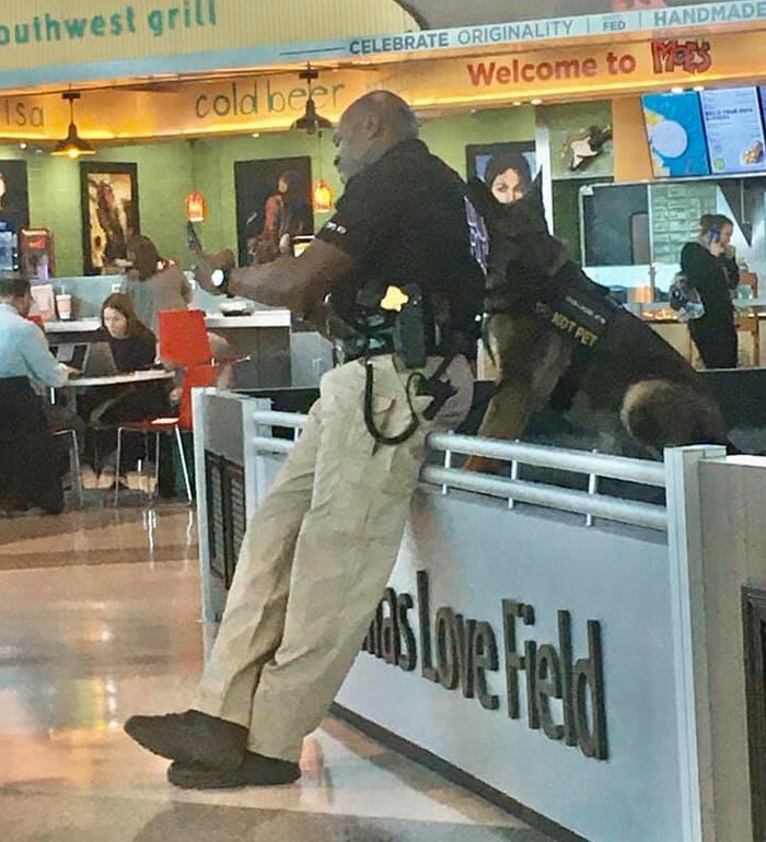 Фотография: Девушка заметила, как полицейский в аэропорту делает селфи со служебной собакой №2 - BigPicture.ru