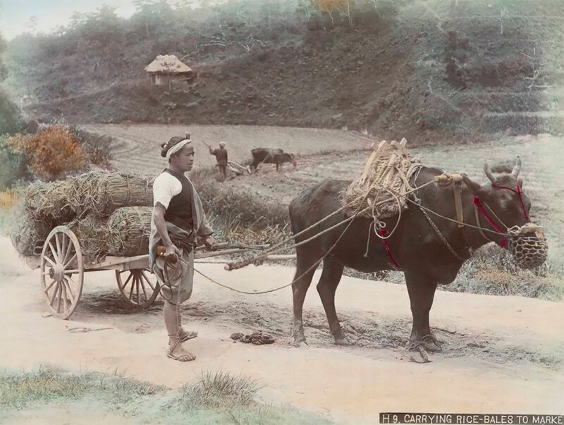 Фотография: Невероятные цветные фото Японии XIX века №4 - BigPicture.ru